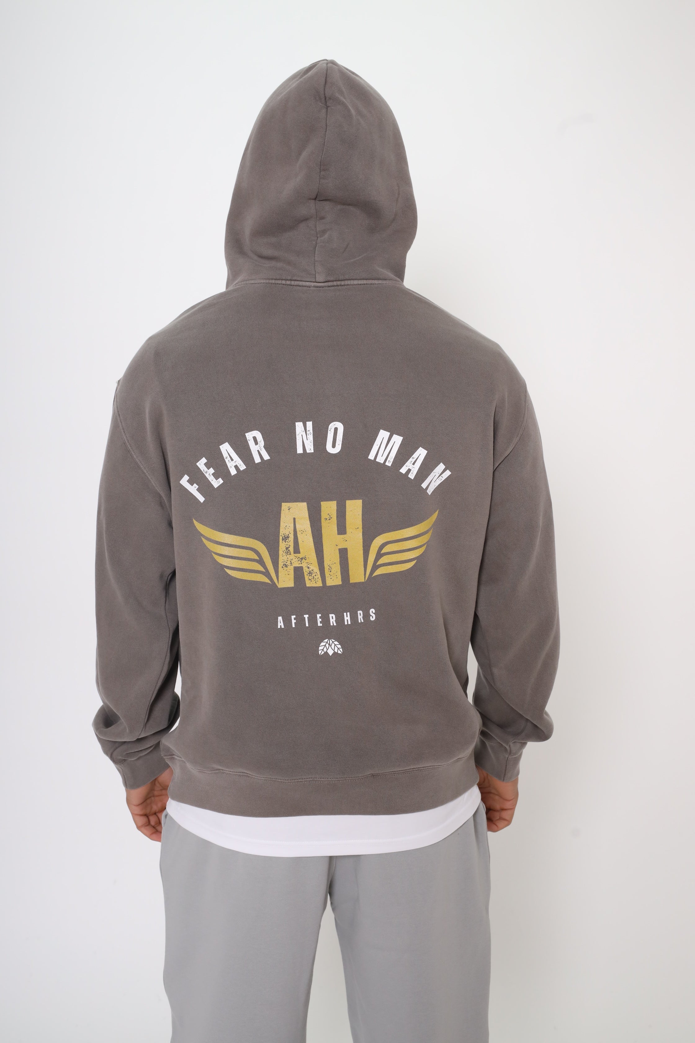 FNM Wings Faded Heavy Hoodie