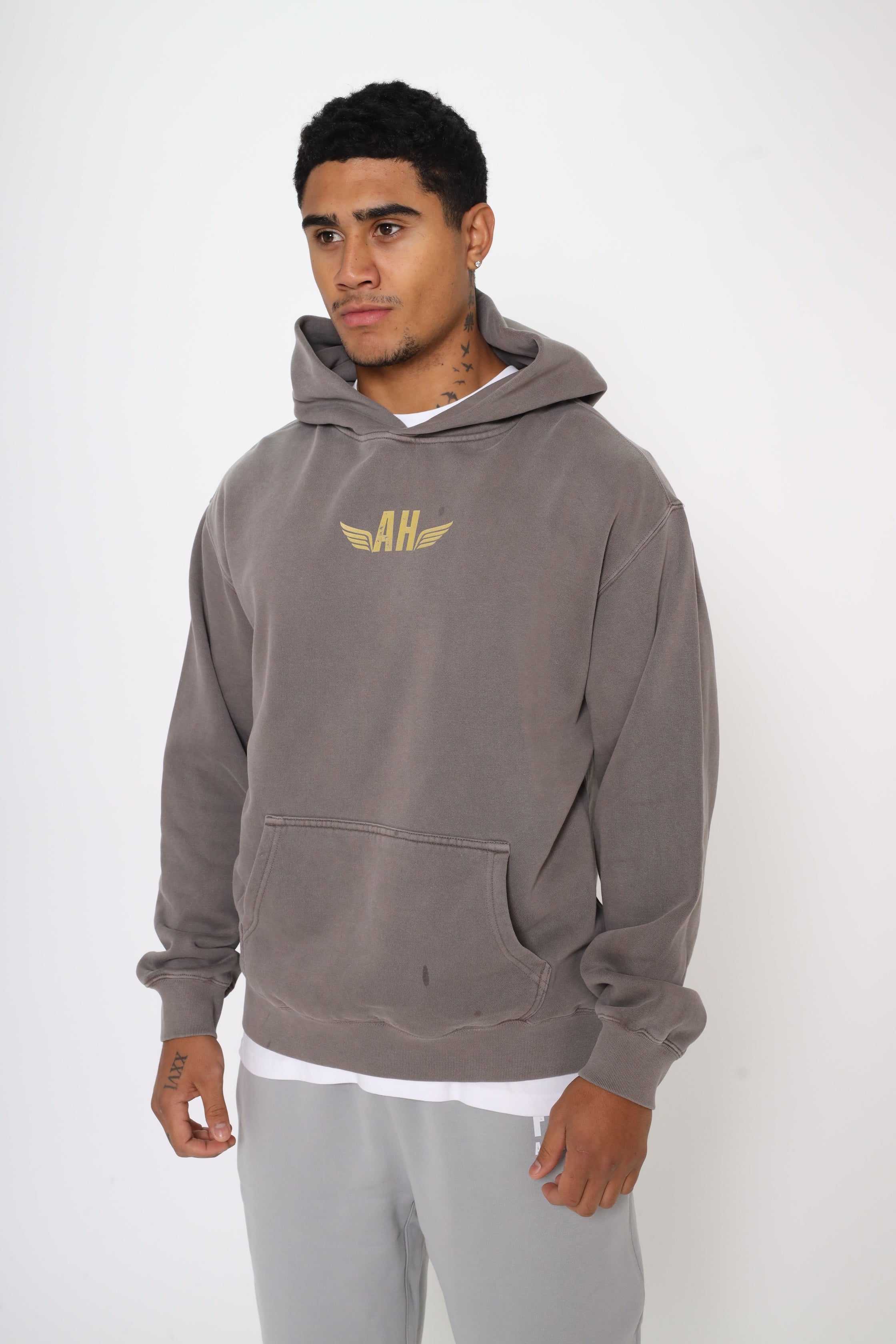 FNM Wings Faded Heavy Hoodie