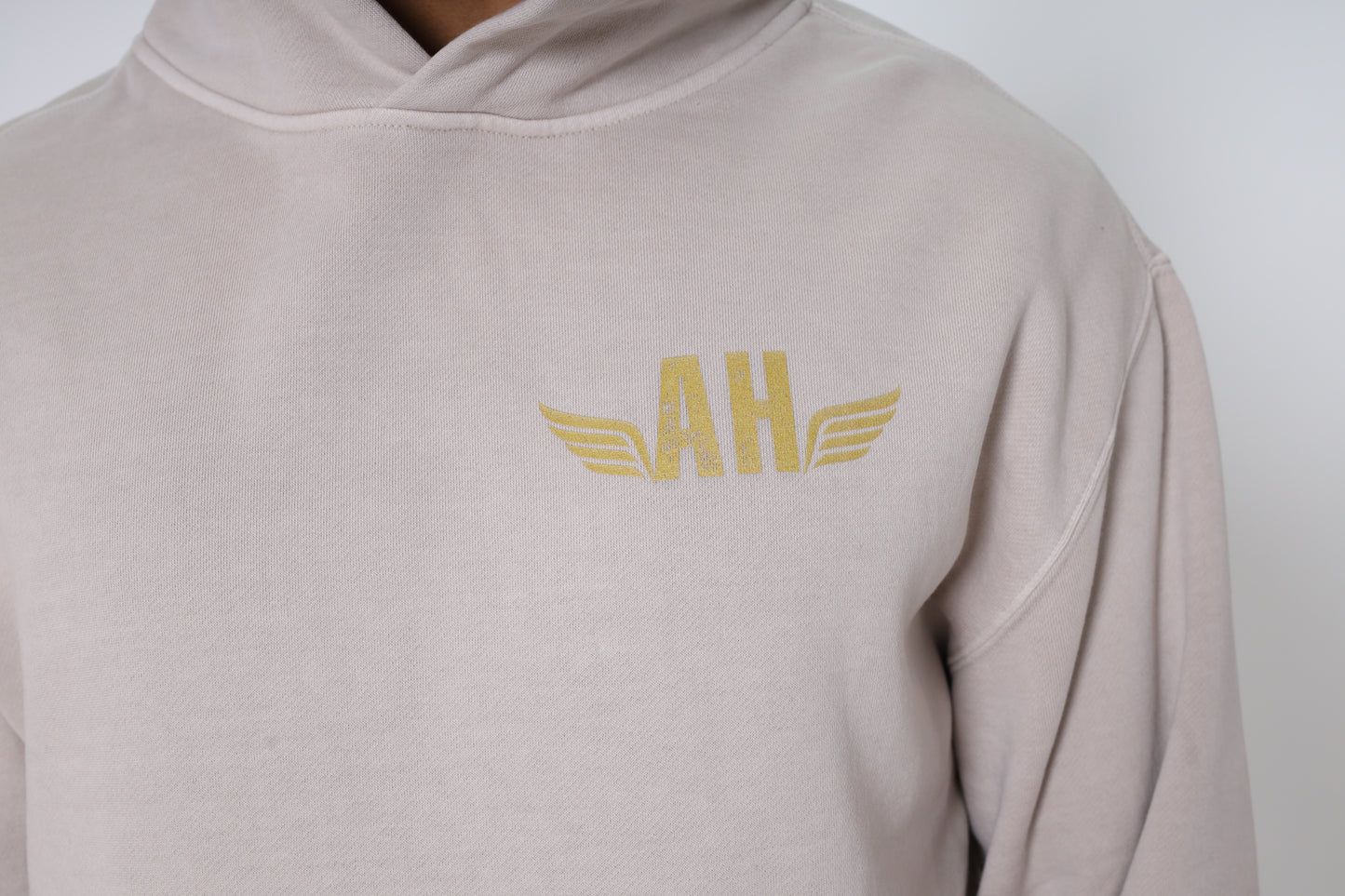 FNM Wings Faded Heavy Hoodie