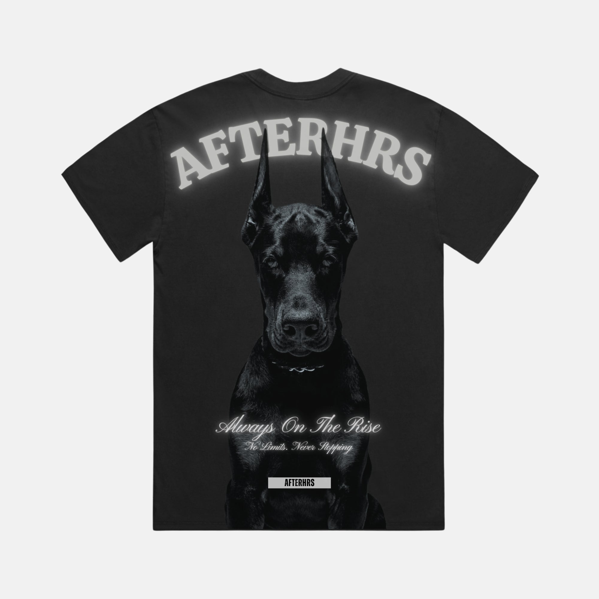 Pre Order: The Dog Oversized Faded T-Shirt