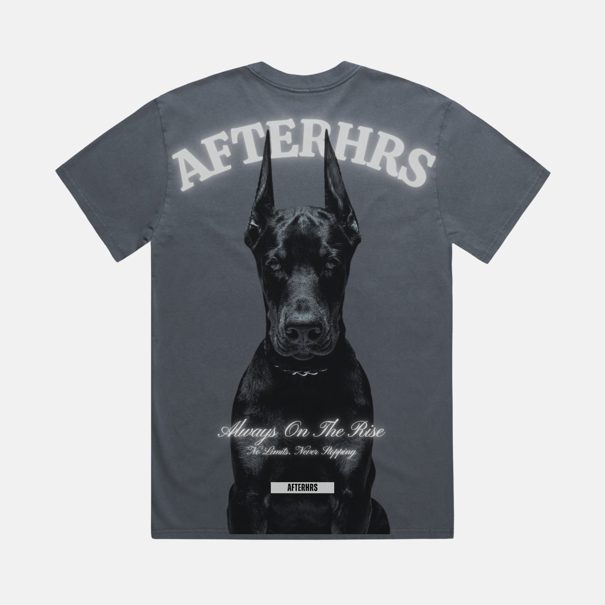 Pre Order: The Dog Oversized Faded T-Shirt